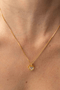 24131 -modelo-